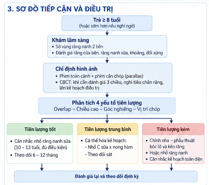 RĂNG NANH HÀM TRÊN MỌC NGẦM: GUIDELINE ĐÁNH GIÁ, TIÊN LƯỢNG VÀ ĐỊNH HƯỚNG XỬ TRÍ TRONG CHỈNH NHA